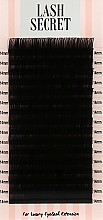 Накладные ресницы, черные, 16 линий (один размер, 0,07, D, 14) - Lash Secret — фото N1