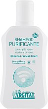 Шампунь очищуючий - Argital Shampoo Purificante — фото N2