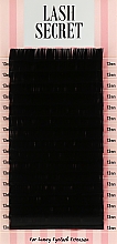 Парфумерія, косметика Накладні вії, чорні, 16 ліній (один розмір, 0.1, D, 13) - Lash Secret
