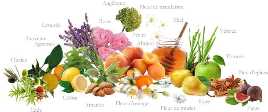 Гель для душа "Апельсин" - Jeanne en Provence Douceur de Fleur d’Oranger Orange Blossom Shower Gel — фото N4