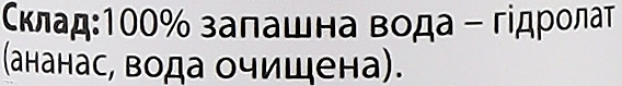 Тонік-гідролат "Ананас" - Bioactive Universe Biotonik Hydrolyte — фото N3