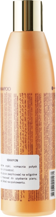 Зволожувальний шампунь з олією арганії - Kativa Argan Oil Shampoo — фото N2