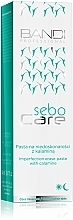 Паста для точкового застосування проти недосконалостей - Bandi Professional Sebo Care Imperfection Erase Paste — фото N2