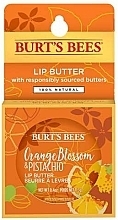 Масло для губ "Апельсиновый цвет и фисташка" - Burt's Bees Orange Blossom & Pistachio Lip Butter — фото N2