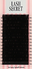 Накладные ресницы, черные, 16 линий (один размер, 0,05, D, 12) - Lash Secret — фото N1