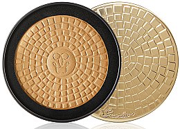 Пудра для золотого сяйва з перламутровим ефектом - Guerlain Goldenland Terracotta Bronzing Powder — фото N1