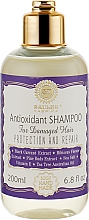 Шампунь для пошкодженого волосся - Saules Fabrika Antioxidant Shampoo — фото N1