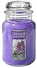 Парфумерія, косметика Ароматична свічка - Yankee Candle Lilac Blossoms