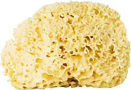 Натуральная губка, желтая, 17,5 см - Hhuumm 01H Natural Sponge — фото N1