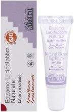 Парфумерія, косметика Органічний бальзам для губ - Argital Natural glossy lip balm