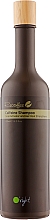 Органічний стимулювальний шампунь проти випадання і для росту волосся з кофеїном - O'right Caffeine Shampoo — фото N1