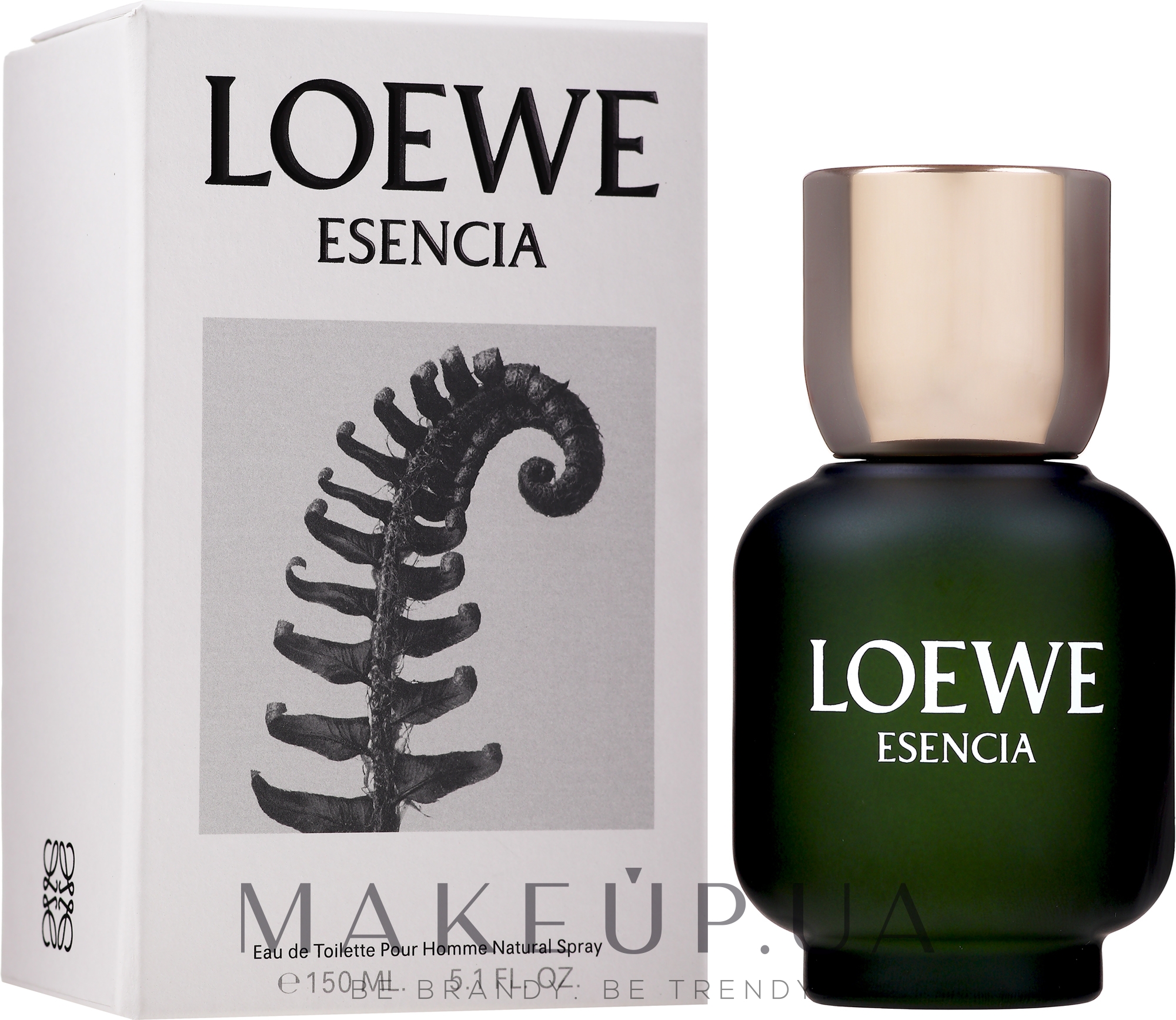 Loewe Esencia Pour Homme - Туалетная вода — фото 150ml