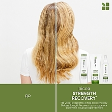 Шампунь для укрепления поврежденных волос - Biolage Strenght Recovery Shampoo — фото N4