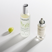 Еліксир-вода для краси обличчя - Caudalie Cleansing & Toning Beauty Elixir — фото N3