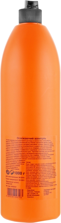 Освежающий шампунь для жирных волос - Prosalon Refreshing Hair Shampoo — фото N2