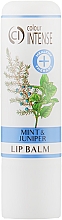 Бальзам для губ смягчающий «Мята и можжевельник» - Colour Intense Lip Mint And Juniper Balm — фото N2