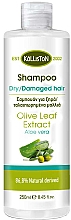 Шампунь для сухого й пошкодженого волосся з алое вера - Kalliston Shampoo for Dry Damaged Hair with Aloe Vera — фото N1