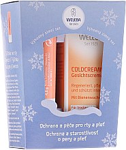 Духи, Парфюмерия, косметика Набор - Weleda Winter Kit (cr/30ml + lip/balm/4.8g)