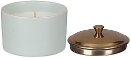 Ароматична свічка "Дикий інжир і кедр" - Paddywax Hygge Ceramic Candle Sage Wild Fig & Cedar — фото N2