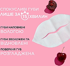 Тканевая маска для увлажнения и восстановления сухой кожи губ с экстрактом вишни и провитамином В5 - Garnier Skin Naturals — фото N4