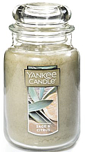 Свічка ароматизована "Шавлія й цитрусові" - Yankee Candle Sage & Citrus — фото N1