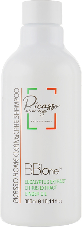 Очищувальний шампунь для волосся - BB One Picasso Home Clean & Care Shampoo — фото N1