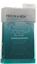 Духи, Парфюмерия, косметика Набор для педикюра "Океан обновлений" - Voesh Deluxe Pedicure Ocean Refresh Pedi In A Box 4 in 1
