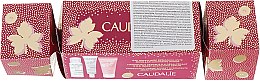 Парфумерія, косметика Набір  - Caudalie Vinosource Cracker 2019 (water/30ml + sorbet/15ml + ser/10ml)