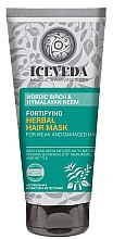 Духи, Парфюмерия, косметика Маска для волос - Iceveda Nordic Birch&Hymalayan Neem Fortifying Herbal Hair Mask