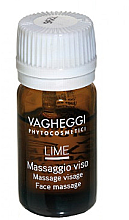 Духи, Парфюмерия, косметика УЦЕНКА Массажное масло для лица - Vagheggi Professional Anti Stress Antioxidant Lime Facial Massage Oil *