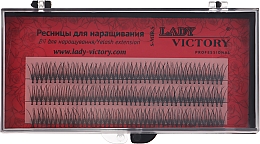 Духи, Парфюмерия, косметика Ресницы накладные пучковые, EY-BS-01C, 12 мм - Lady Victory