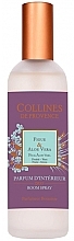 Парфумерія, косметика Спрей для дому "Інжир та алое вера" - Collines de Provence Figue & Aloe Vera Room Spray