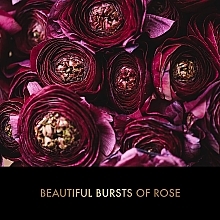Набір - Baylis & Harding Boudoire Rose Luxury Manicure Pamper Trio (h/cr/50ml + h/salt/70g + n/file) — фото N3
