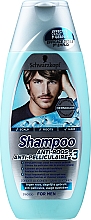 Парфумерія, косметика Шампунь проти лупи для чоловіків - Schwarzkopf Schauma Anti-Dandruff Classic Shampoo