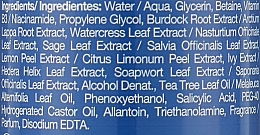 Лосьон с маслом чайного дерева - Revuele No Problem Tea Tree Oil Anti-Blemish Clarifying Lotion — фото N2