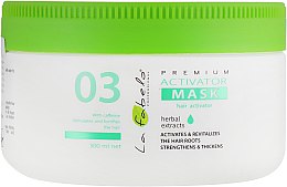 Духи, Парфюмерия, косметика Маска-активатор роста волос - La Fabelo Premium 03 Activator Mask