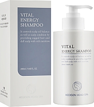 Професіональний шампунь для нормалізації pH-балансу шкіри голови - Dr.Hedison Head Spa Vital Energy Shampoo — фото N2
