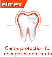 Ополаскиватель для полости рта - Elmex Mouthwash Carriers Protection — фото N10