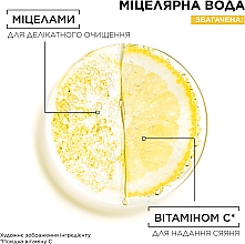 Міцелярна вода з вітаміном С для тьмяної шкіри обличчя з ефектом сяяння - Garnier Skin Naturals Vitamin C Micellar Cleansing Water — фото N4