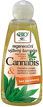 Живильний шампунь для волосся - Bione Cosmetics Cannabis Regenerative Nourishing Shampoo — фото N1