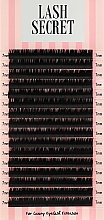 Накладные ресницы, черные, 16 линий (один размер, 0,05, C, 7) - Lash Secret — фото N1