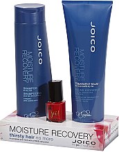 Духи, Парфюмерия, косметика Набор - Joico Moisture Recovery Set (shm/300ml + mask/250ml + nail/10ml)