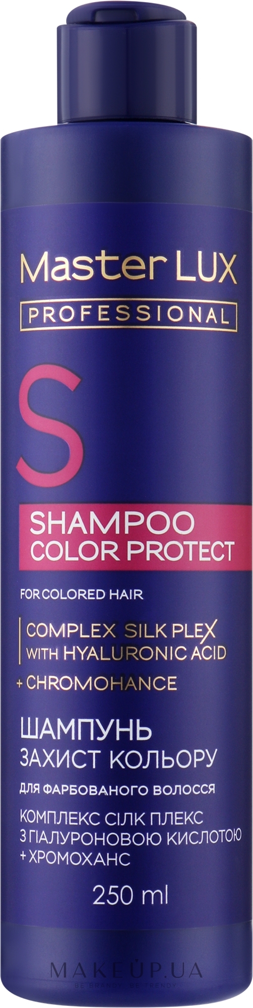 Шампунь для фарбованого волосся "Захист кольору" - Master LUX Professional Color Protect Shampoo — фото 250ml
