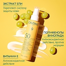 Сонцезахисний спрей для обличчя та тіла - Caudalie Vinosun Protect Spray Invisible SPF50 — фото N5