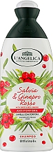 Духи, Парфюмерия, косметика Лечебный шампунь против перхоти - L'Angelica Officinalis Shampoo Anti-dandruff for Dandruff-prone Hair