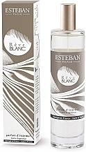 Esteban Reve Blanc - Парфюмированный спрей для дома — фото N1