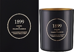 Ароматическая свеча - Cereria Molla Ginger&Orange Blossom Scented Candle  — фото N2