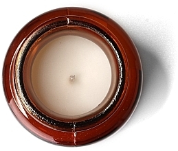 Ароматична свічка у банці - Paddywax Apothecary Artisan Made Soywax Candle Geranium & Basil — фото N2