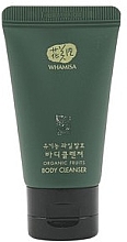 Духи, Парфюмерия, косметика Органический гель для душа - Whamisa Organic Fruits Body Cleanser (мини)