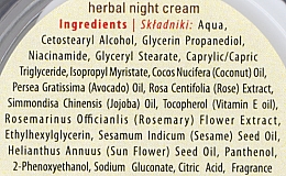 Нічний крем для обличчя з лікувальними травами - Sattva Ayurveda Herbal Night Cream — фото N3